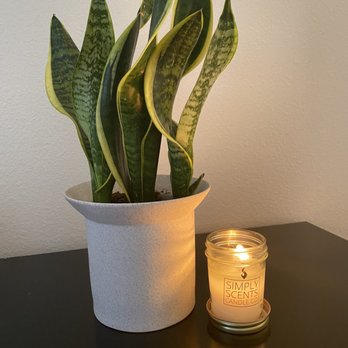 The Flora Culture - Floral Designers Near Me - Houston, Texas The Flora Culture - Floral Designers Near Me - Houston, Texas