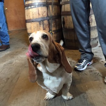 Rushing Duck Brewing - Beer for all breeds! - Breweries Near Me - Chester, New York