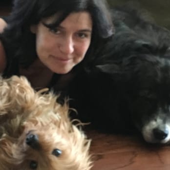A Passion Fur Pets - Cheryl, with Piko and Kayla. - Dog Walkers Near Me A Passion Fur Pets - Cheryl, with Piko and Kayla. - Dog Walkers Near Me
