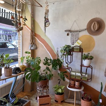 Cafe Planta - Nurseries & Gardening Near Me - Sonora, California Cafe Planta - Nurseries & Gardening Near Me - Sonora, California