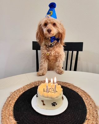 La Pawnaderia by null