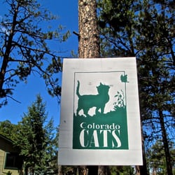 Colorado Cats Behavior