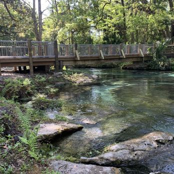 Kelly Park - Kelly springs - Hiking Near Me - Apopka, Florida Kelly Park - Kelly springs - Hiking Near Me - Apopka, Florida