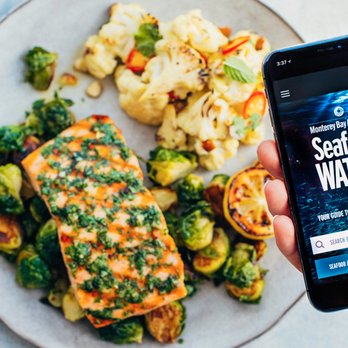 Pacific Catch - Seafood Near Me - Dublin, California