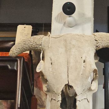 Urbanite - Skull - Home Decor Near Me - Portland, Oregon Urbanite - Skull - Home Decor Near Me - Portland, Oregon