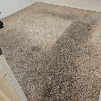 Elite 5 Star Cleaning Services - Before - Carpet Cleaning Near Me Elite 5 Star Cleaning Services - Before - Carpet Cleaning Near Me