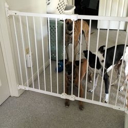 Baby Home Safety - Our gate was actually installed for dogs, not kids. It was installed perfectly, and was in a tricky spot. Super sturdy and easy to use.