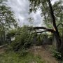 Photo of Monster Tree Service of Omaha North Metro