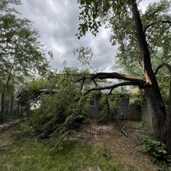 Monster Tree Service of Omaha North Metro - Before