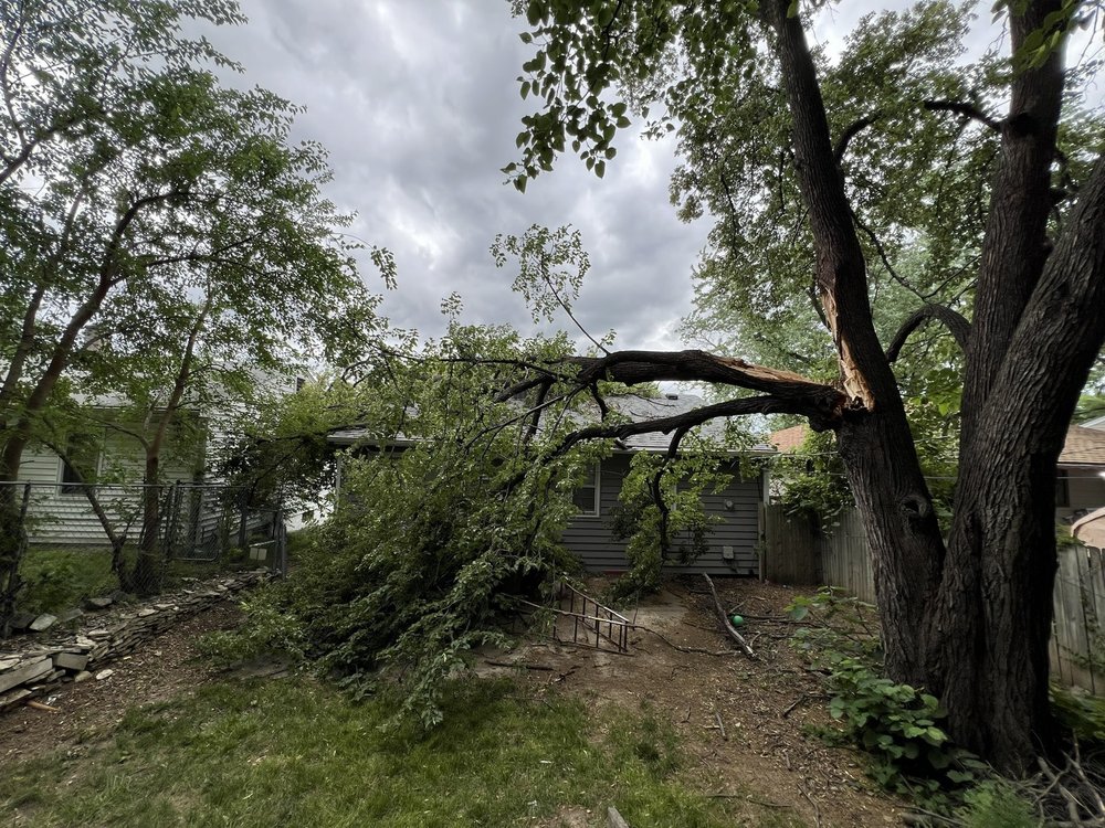 Monster Tree Service of Omaha North Metro - tree service in Omaha, NE