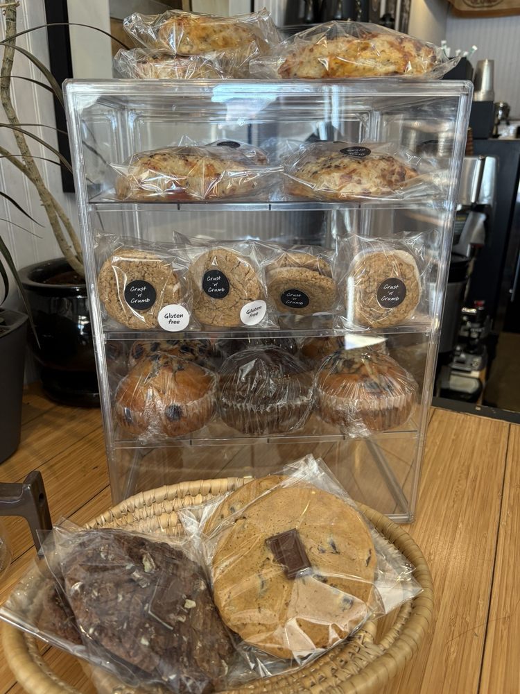 Leopard Forest Coffee Company Image