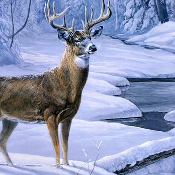 Dollar General - a painting of a deer in the snow - Discount Store Near Me - Sigourney, Iowa Dollar General - a painting of a deer in the snow - Discount Store Near Me - Sigourney, Iowa