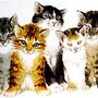 Photo of Hanaskids Petsitting Service