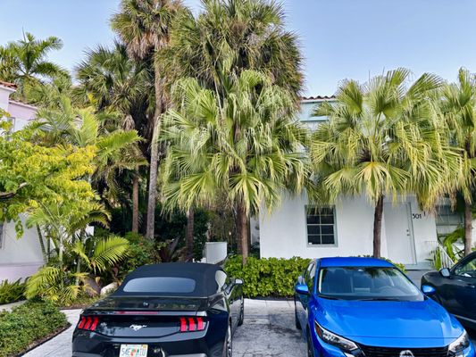 Miami River Inn by null