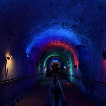 Paris Champagne Tour - Wine Tours Near Me - Meudon, 92
