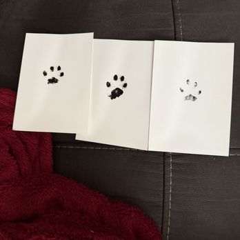The Peaceful Journey - Ink paw prints - Veterinarians Near Me The Peaceful Journey - Ink paw prints - Veterinarians Near Me