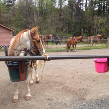 Mountain Creek Riding Stables - Horseback Riding Near Me - Cresco, Pennsylvania Mountain Creek Riding Stables - Horseback Riding Near Me - Cresco, Pennsylvania