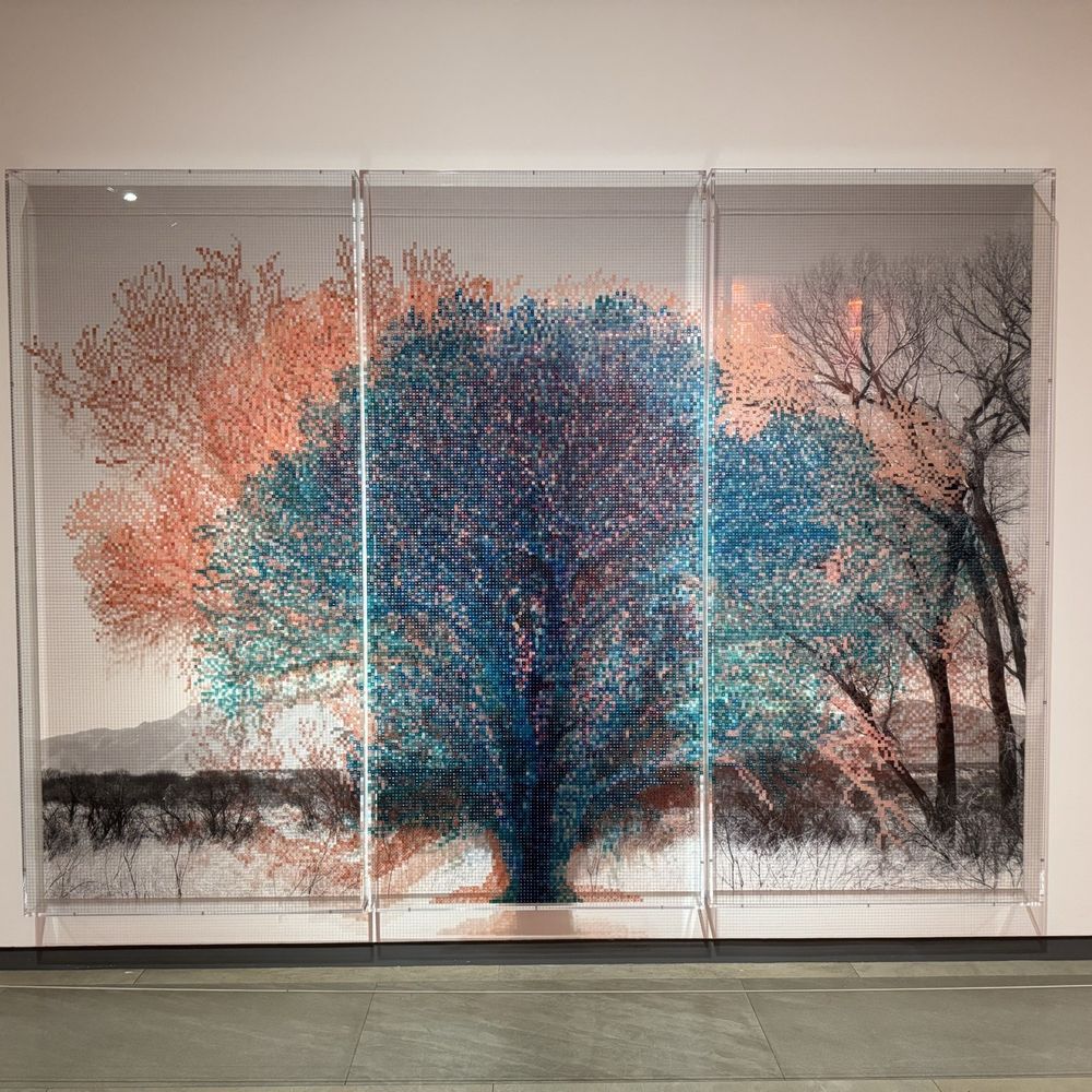 Phoenix Art Museum - Art Museums Near Me - Phoenix, Arizona