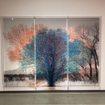 Phoenix Art Museum - Art Museums Near Me - Phoenix, Arizona
