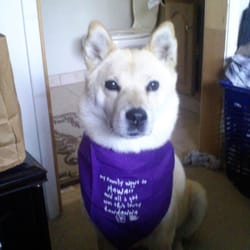 Rein Designs - my family went to hawaii, and i i got was this lousy bandanna.