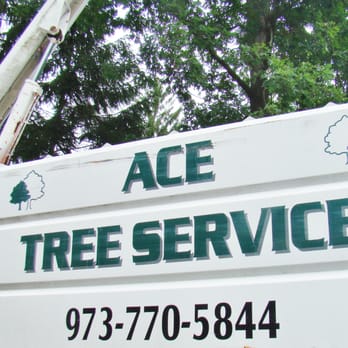 Ace Tree Service - Tree Services Near Me Ace Tree Service - Tree Services Near Me