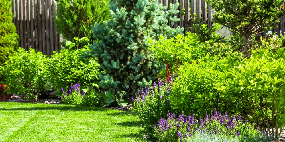 Jersey City Landscaping Experts - tree service in Jersey City, NJ