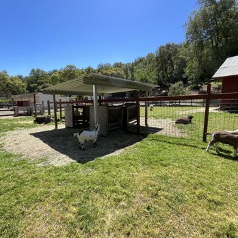 Rancho San Antonio Preserve - Parks Near Me - Los Altos, California Rancho San Antonio Preserve - Parks Near Me - Los Altos, California