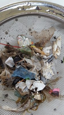 Cedar Grove Composting by null