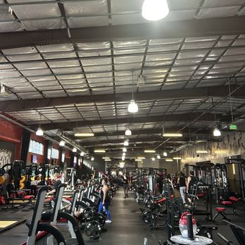 UFC GYM Honolulu - Main gym - Trainers Near Me - Honolulu, Hawaii UFC GYM Honolulu - Main gym - Trainers Near Me - Honolulu, Hawaii