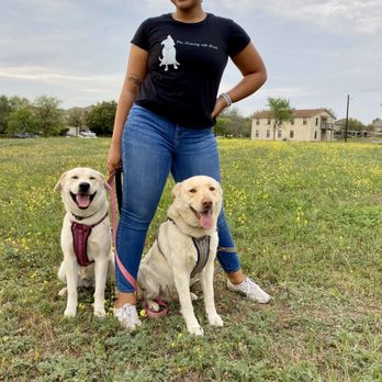 Pet Training With Shanti - Pet Training Near Me Pet Training With Shanti - Pet Training Near Me