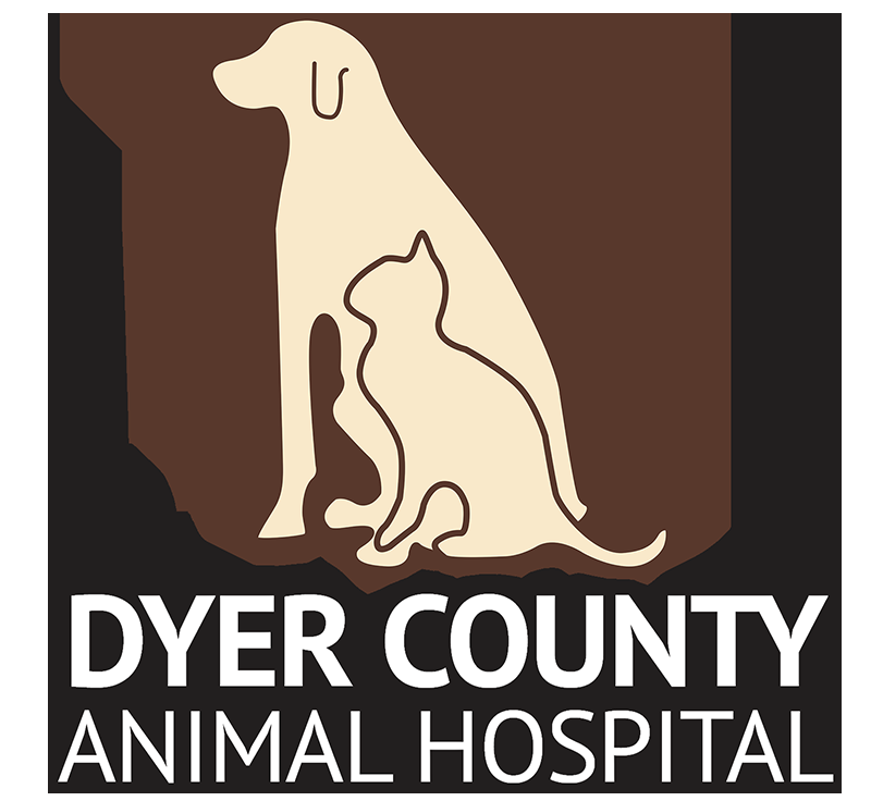 DYER COUNTY ANIMAL HOSPITAL Updated June 2024 410 US Highway 51 Byp W, Dyersburg, Tennessee