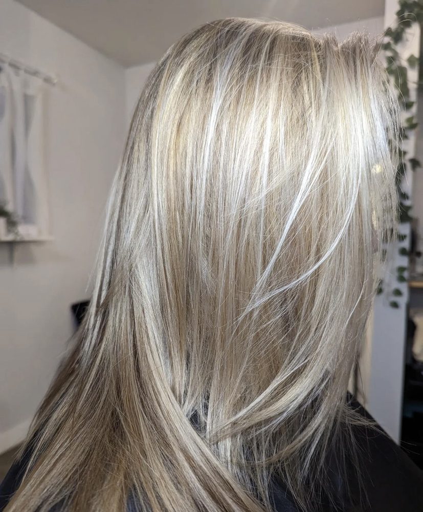 Black to Blonde Logo