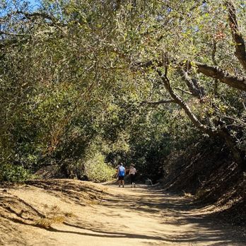 TreePeople - Community Service/Non-Profit Near Me - Beverly Hills, California
