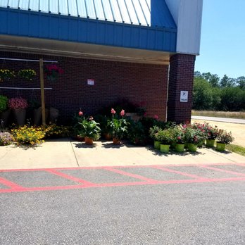Greer's CashSaver - the front of the store - Grocery Near Me - Pensacola, Florida Greer's CashSaver - the front of the store - Grocery Near Me - Pensacola, Florida