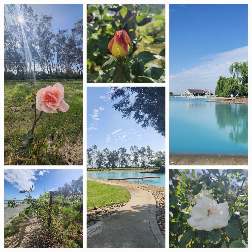 Valensin Vineyard & Winery - Wine Tasting Room Near Me - Galt, California