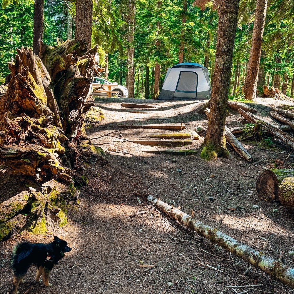 TOP 10 BEST Camping Sites near Wenatchee, WA 98801 - Updated 2026 - Yelp