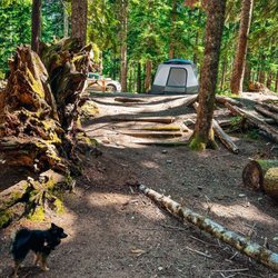 Denny Creek Campground - Campsite