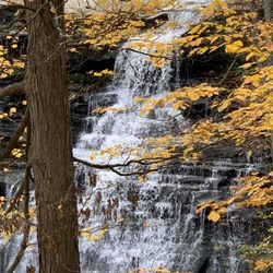 Brandywine Falls