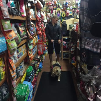 Bushwick Bark - Pet Stores Near Me - Brooklyn, New York