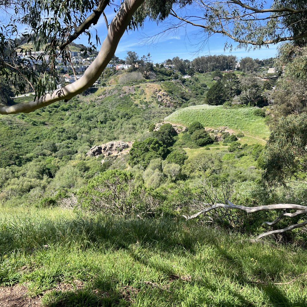 Glen Canyon Park - Parks Near Me - San Francisco, California Glen Canyon Park - Parks Near Me - San Francisco, California
