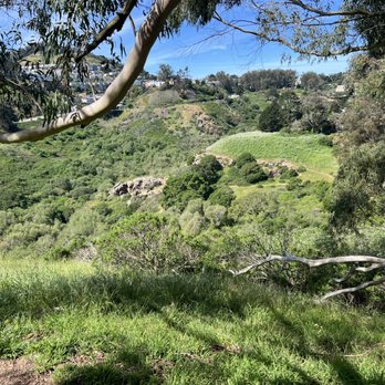 Glen Canyon Park - Parks Near Me - San Francisco, California Glen Canyon Park - Parks Near Me - San Francisco, California