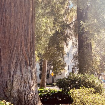 Capitol Park - Parks Near Me - Sacramento, California Capitol Park - Parks Near Me - Sacramento, California