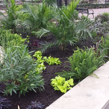 Washington Park - Beautiful landscaping at Washington park. - Parks Near Me - Cincinnati, Ohio Washington Park - Beautiful landscaping at Washington park. - Parks Near Me - Cincinnati, Ohio