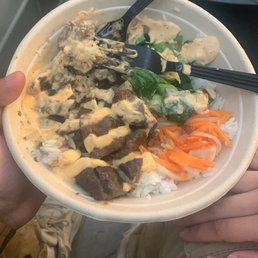 Teriyaki Steak Bowl