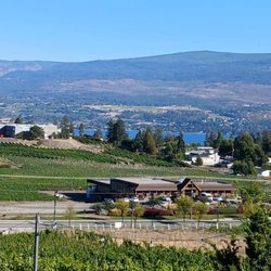 Little Straw Vineyards