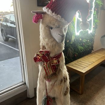 Flama Llama - Latin American Near Me - San Diego, California Flama Llama - Latin American Near Me - San Diego, California