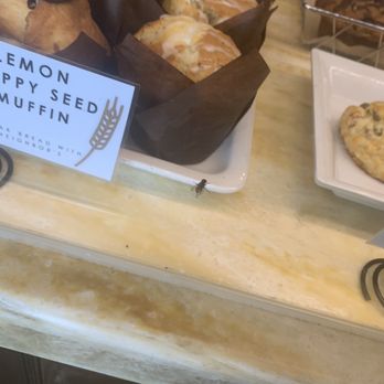 Neighbor's Mill Bakery & Cafe - lemon poppy seed muffins - Bakeries Near Me - Harrison, Arkansas Neighbor's Mill Bakery & Cafe - lemon poppy seed muffins - Bakeries Near Me - Harrison, Arkansas