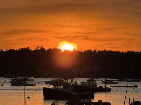 Boothbay Lobster Wharf by null