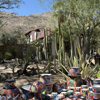 Moorten Botanical Garden - March 2026 - Nurseries & Gardening Near Me - Palm Springs, California Moorten Botanical Garden - March 2026 - Nurseries & Gardening Near Me - Palm Springs, California