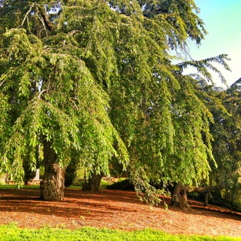 Alms Park - Parks Near Me - Cincinnati, Ohio
